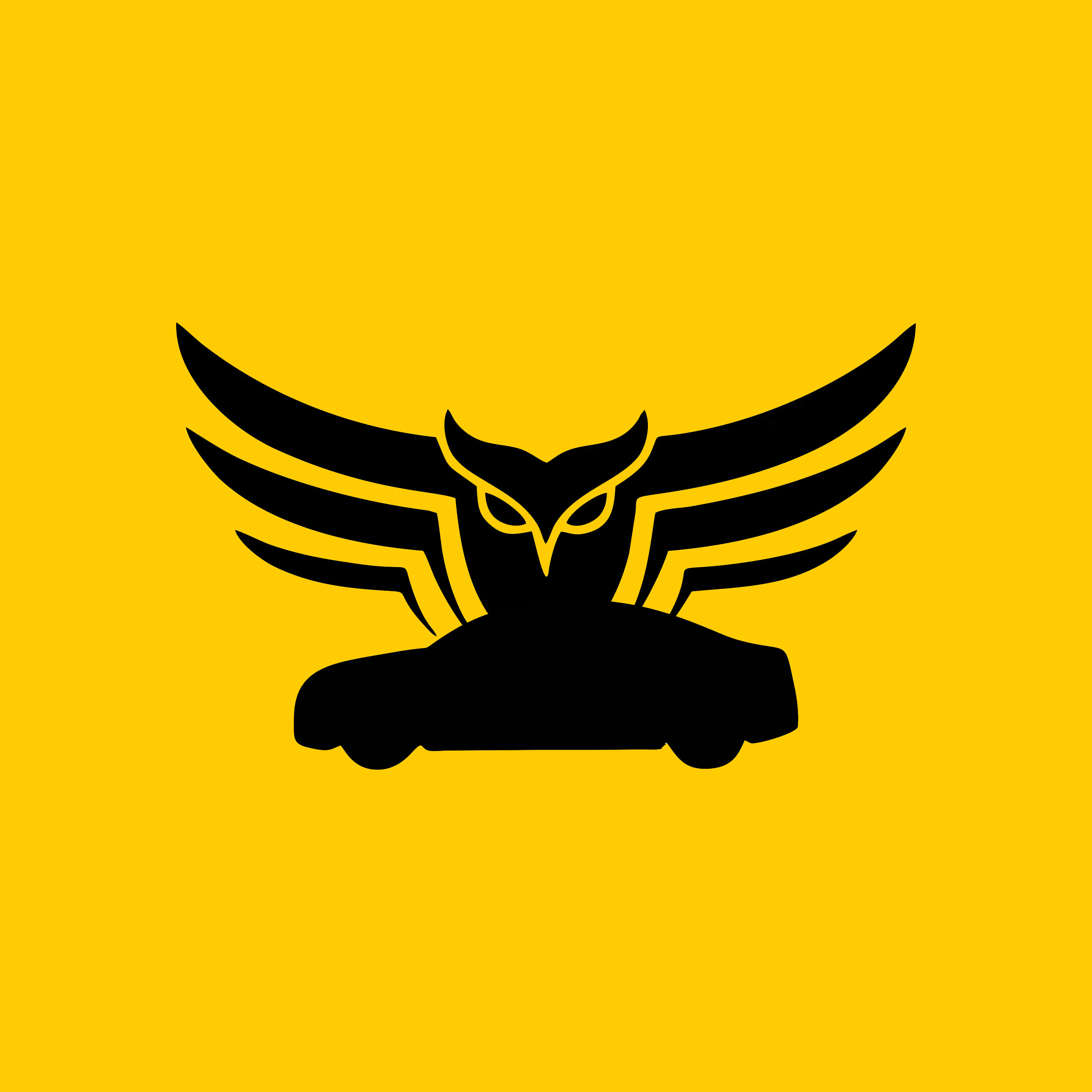 夜猫儿自助洗车 Logo